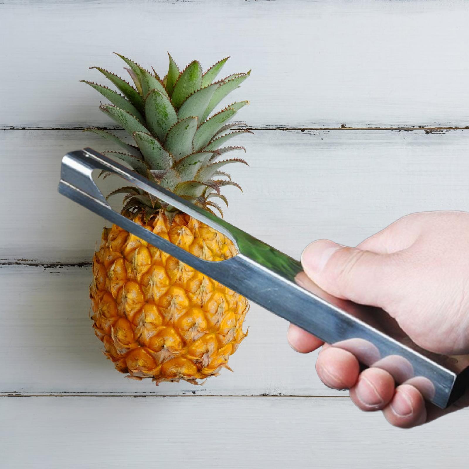 Alat Dapur Manual Gadget Pengu - Kitchen Gadgets Store ulasan dan harga
